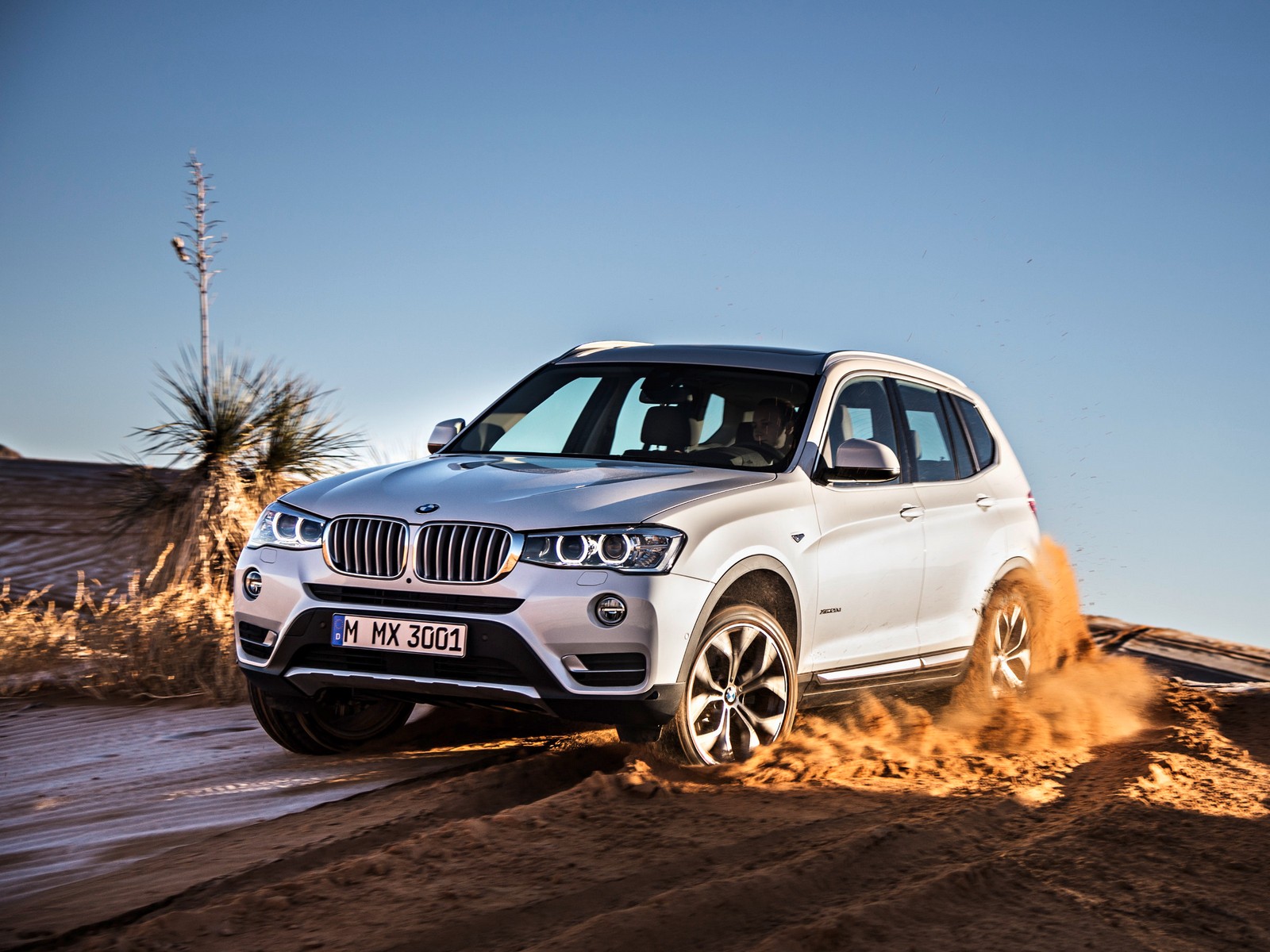 Фото BMW X3 F25 рестайлинг Внедорожник