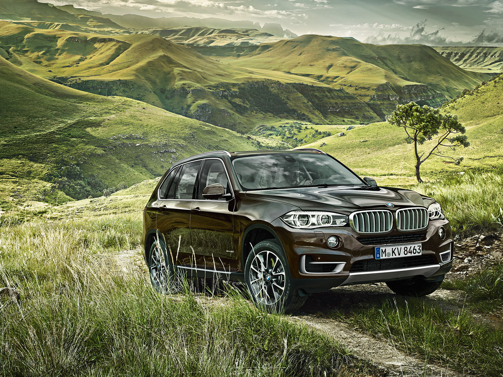 Фото BMW X5 F15 Внедорожник