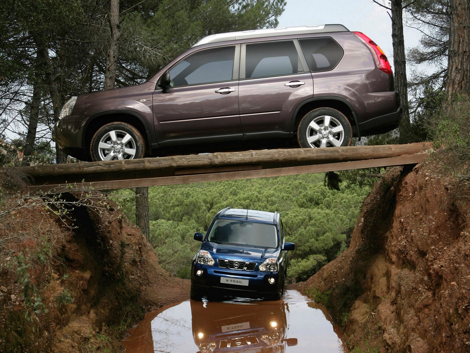 Фото Nissan X-Trail T31 Внедорожник