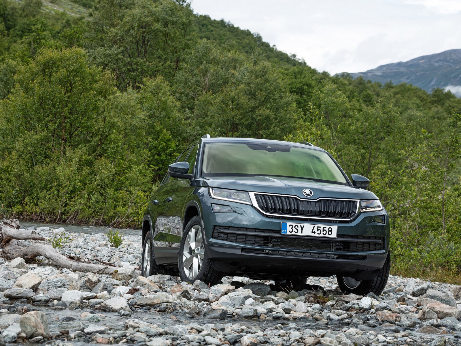 Фото Skoda Kodiaq первое поколение Внедорожник