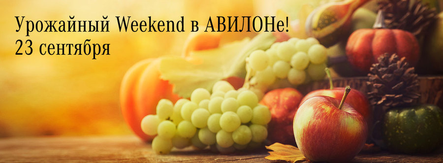 Приглашаем на урожайный weekend в АВИЛОН!