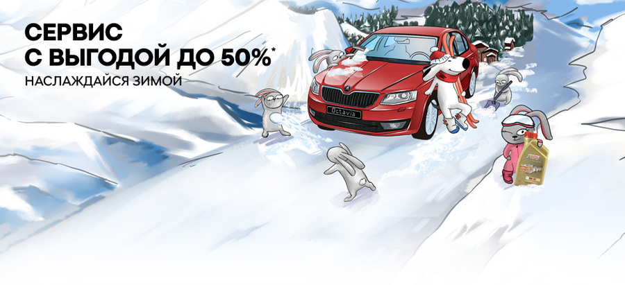 Цены падают, как снежинки! Сервис SKODA с выгодой до 50%!