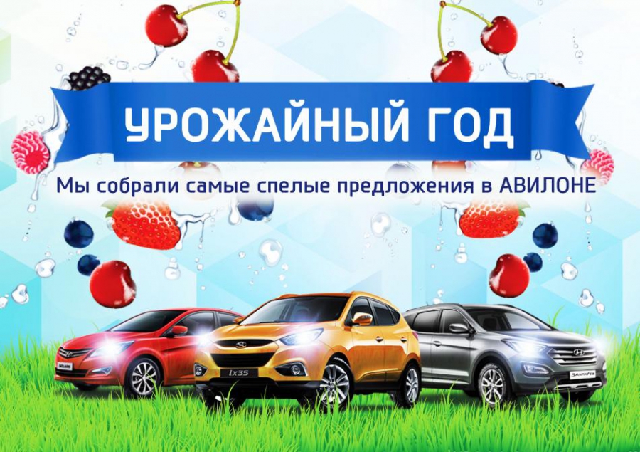 Урожайный год в АВИЛОН Hyundai!