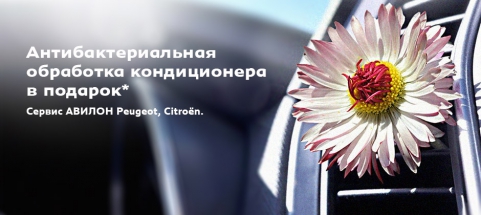 Сервис АВИЛОН Peugeot, Citroёn: антибактериальная обработка кондиционера в подарок*